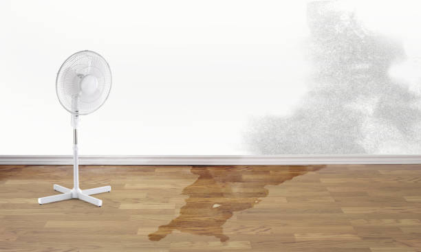 Sewage cleanup and water damage restoration in Tolar, TX