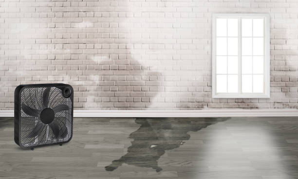 Fire Damage Restoration in Tolar, TX