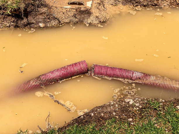 Best Flooded house restoration  in Tolar, TX