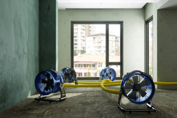 Water damage restoration process in Tolar, TX